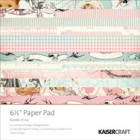 Набор бумаги Bundle of Joy Boy and Girl 16х16 см 40 листов от Kaisercraft