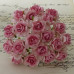 Набір 5 диких трояндочок Pink with Dusky Pink Centre, 30 мм