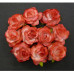 Набор 5 диких розочек Strawberry Red, 30 мм