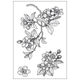 Акриловий штамп Cherry Blossom, Hot Off The Press