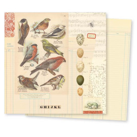 Двосторонній папір для скрапбукінгу Conservatory: Aviary від 7gypsies