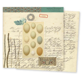 Двосторонній папір для скрапбукінгу Conservatory: Feather від 7gypsies