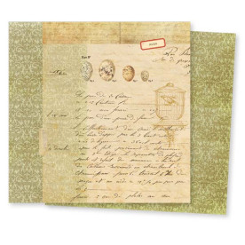 Двосторонній папір для скрапбукінгу Conservatory: Magpie від 7gypsies