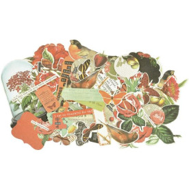 Набор высечек Curiosity от Kaisercraft, 50 шт