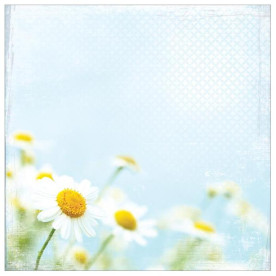 Односторонній папір Bright Daisies 30х30 см від Paper House