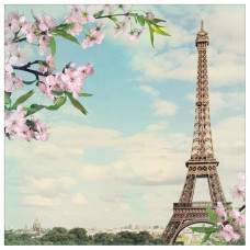 Односторонній папір Spring In Paris 30х30 см від Paper House