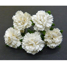 Набір 5 гвоздик білого кольору 2,5 см