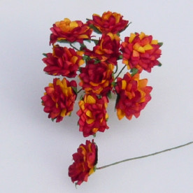 Набір 10 айстр жовто-червоного кольору 15 мм