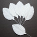 Набір декоративних листочків троянди білого кольору, 4х2,5 см, 10 шт