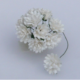 Набір 10 айстр кольору слонової кістки 15 мм