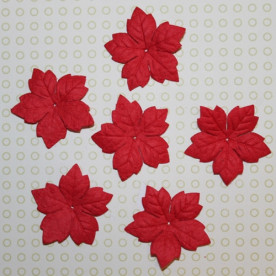 Набір 5 червоних квіток пуансетії, 35 мм
