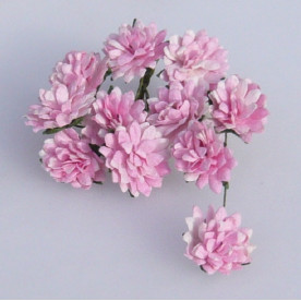 Набір 10 айстр рожевого кольору 15 мм