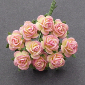 Набір 10 трояндочок кольору рожевого шампанського 10 мм
