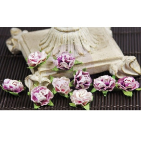 Набор розочек сиреневого цвета Cameo Roses 12 шт от Prima