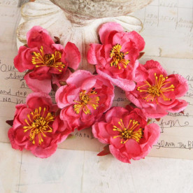 Набір тканинних квіточок Bel Canto Dark Pink 6 шт від Prima