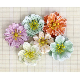 Набір квіточок Labelle - Calypso 6 шт від компанії Prima