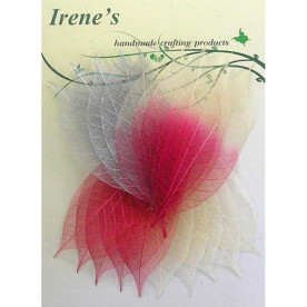 Набір скелетовані листочків Valentine Mix, 20 шт, 5-7 см