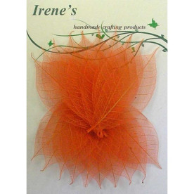 Набор скелетированных листочков Orange, 20 шт, 5-7 см