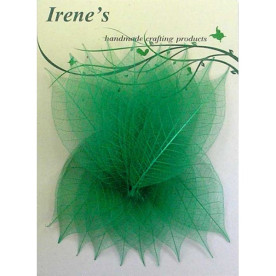 Набір скелетовані листочків Green, 20 шт, 5-7 см