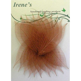 Набір скелетовані листочків Brown, 20 шт, 5-7 см