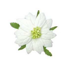 Пуансетия белого цвета 1 шт, 6,5 см