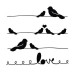 Трафарет Love Birds 15х15 см від Claudine Hellmuth