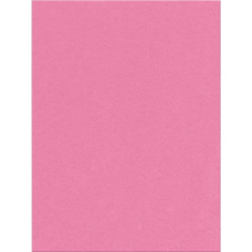 Фетр Candy Pink 30х23 см от компании Kunin