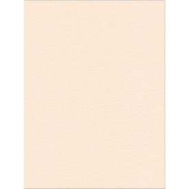 Фетр Cream 30х23 см от компании Kunin