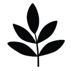 Фігурний дирокол Frond Branch від Martha Stewart