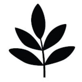 Фигурный дырокол Frond Branch от Martha Stewart