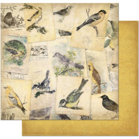Двусторонняя бумага Bird Watching 30х30 см от Bo-Bunny