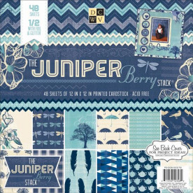 Набір паперу Juniper Berry 30х30 см 24 листа від DCWV