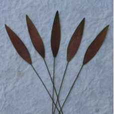 Набір 10 листочків Brown Medium Grass