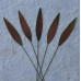 Набір 10 листочків Brown Medium Grass