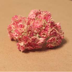 Набір з 10 квіток гіпсофіли в двох тонах рожевого кольору