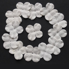 Гортензія, набір із 10 кольорів, білий колір, 50 мм 