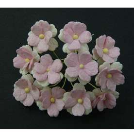 Набор 10 белых цветочков с розовой серединкой Sweetheart blossom