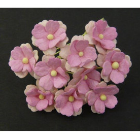 Набор 10 розовых цветочков с розовой серединкой Sweetheart blossom