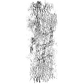 Прозрачный акриловый штамп Leather - Texture, 5.5x13.5 см, Kaisercraft