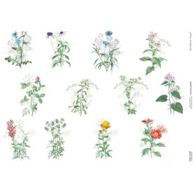 Декупажна карта #000605, 29,7x42 см, Фабрика Декору