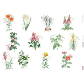 Декупажная карта #000606, 29,7x42 см, Фабрика Декора