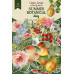 Набор высечек, Summer botanical diary, 58 шт, Фабрика Декора