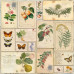 Набір скраппаперу, Summer botanical diary, 10 аркушів, 30,5x30,5 см, Фабрика Декору