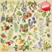 Набір скраппаперу, Summer botanical diary, 10 аркушів, 30,5x30,5 см, Фабрика Декору
