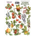 Набір наклейок, стікерів, 17 шт, Summer botanical diary # 191, Фабрика Декору