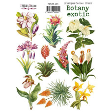 Набір наклейок, стікерів, 10 шт, Botany exotic, # 204, Фабрика Декору