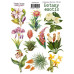 Набір наклейок, стікерів, 10 шт, Botany exotic, # 204, Фабрика Декору