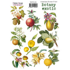 Набір наклейок, стікерів, 9 шт, Botany exotic, # 205, Фабрика Декору