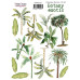 Набір наклейок, стікерів, 15 шт, Botany exotic, # 207, Фабрика Декору