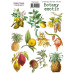 Набор наклеек, стикеров, 10 шт, Botany exotic, #209, Фабрика Декора